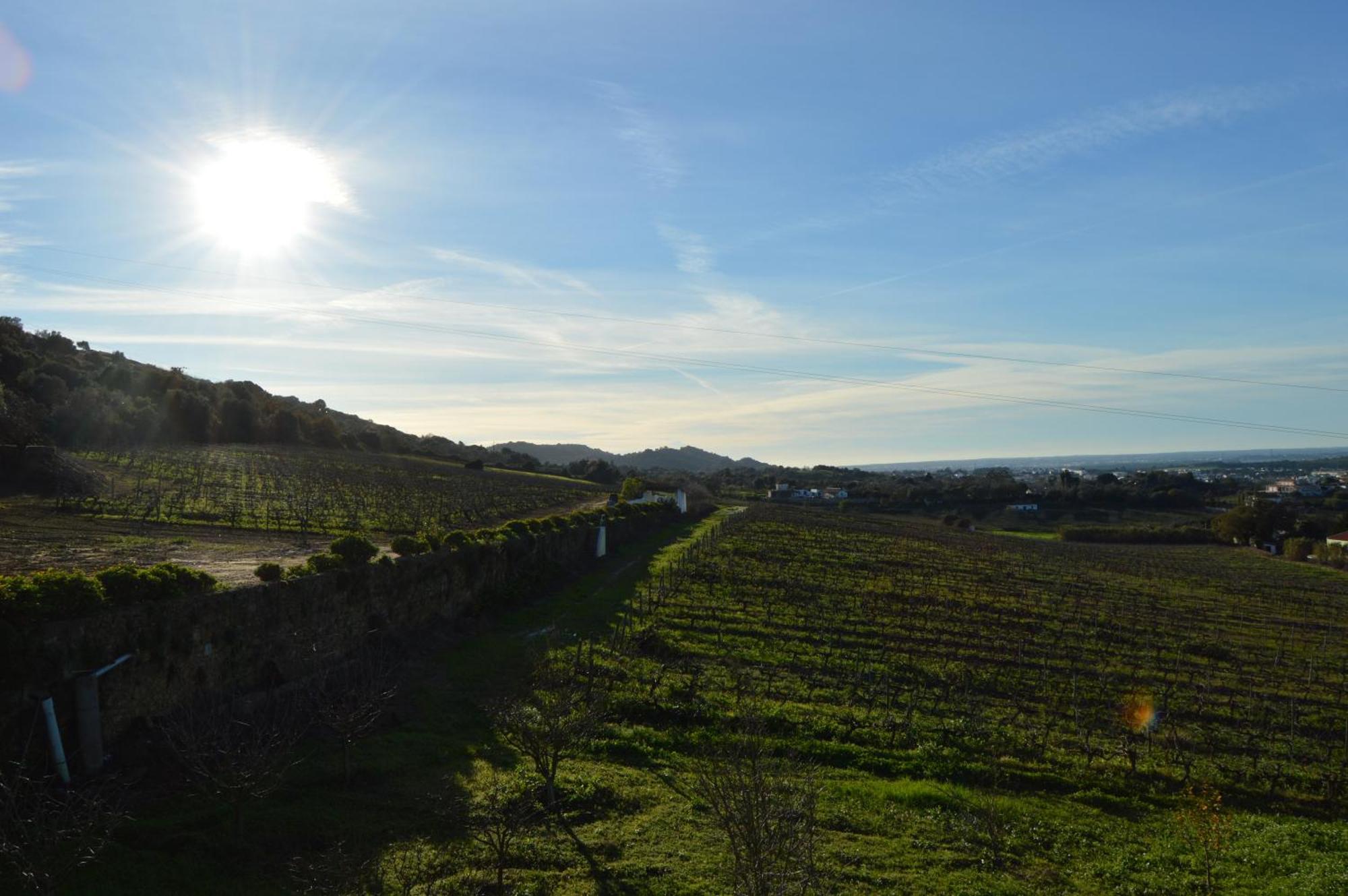 Quinta Do Piloto Guest House Palmela Exterior photo