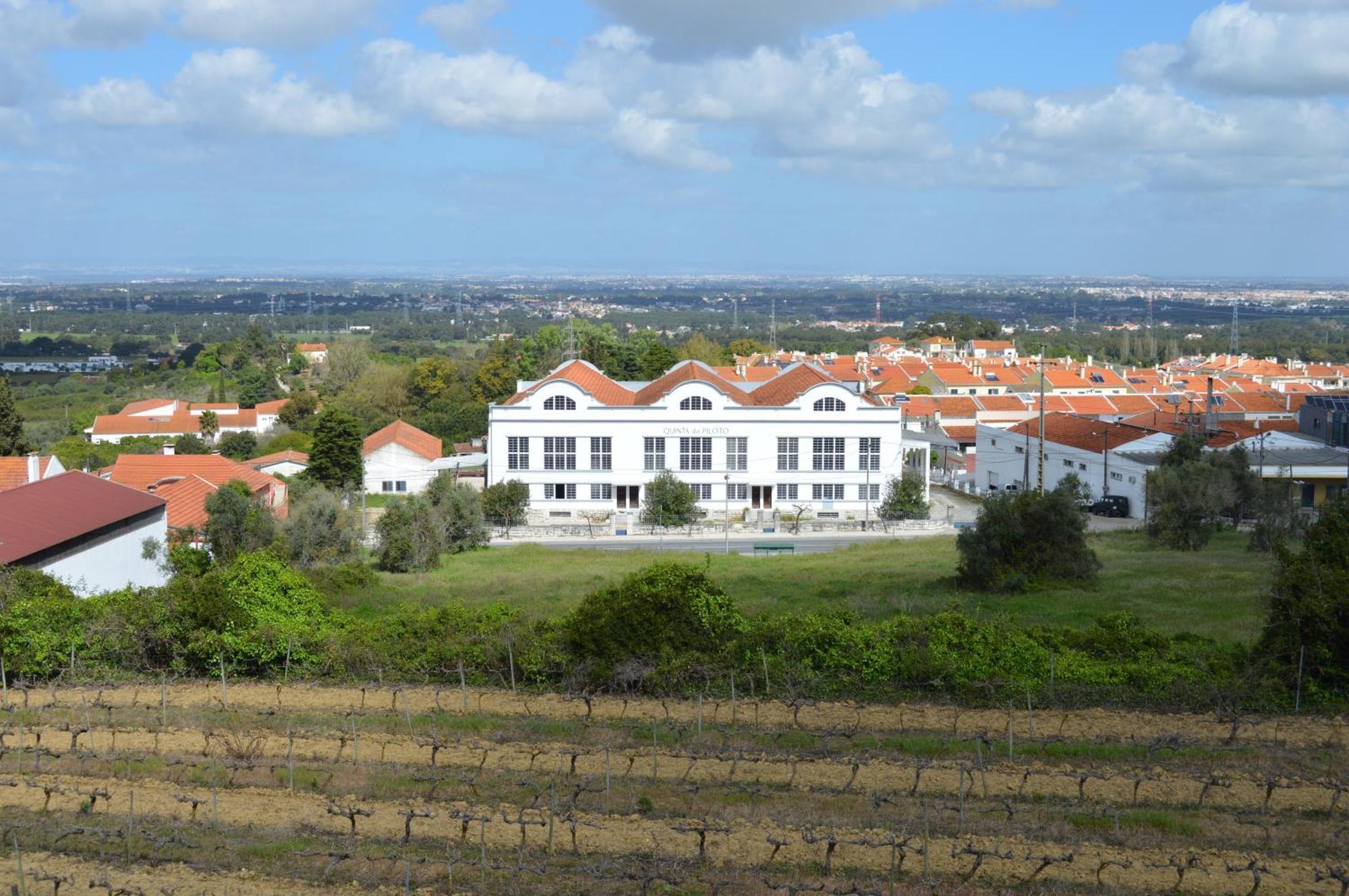 Quinta Do Piloto Guest House Palmela Exterior photo